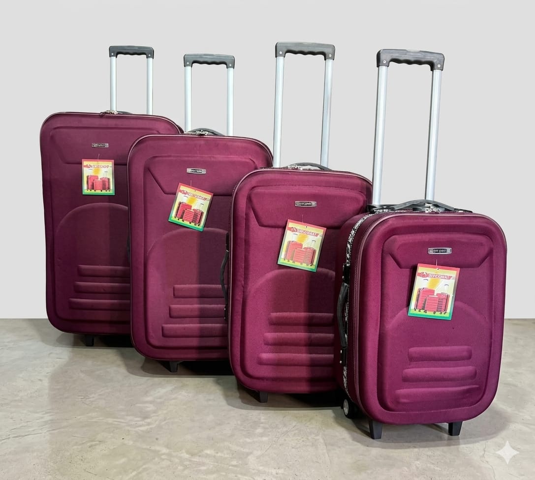 Premium 4-Piece Trolley Luggage Set