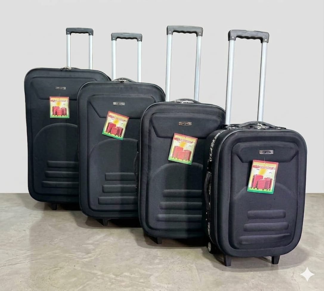 Premium 4-Piece Trolley Luggage Set